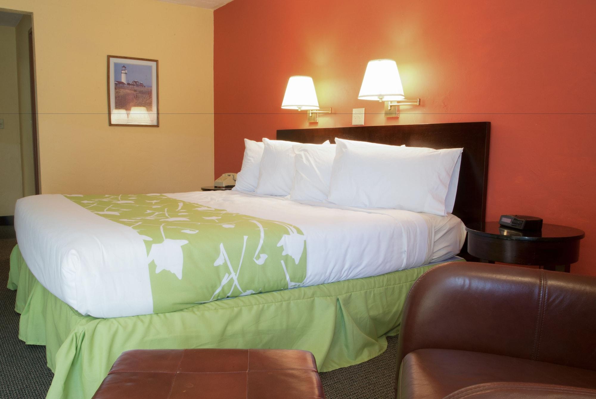Uncommoner By Reverie Boutique Collection 4* West Yarmouth