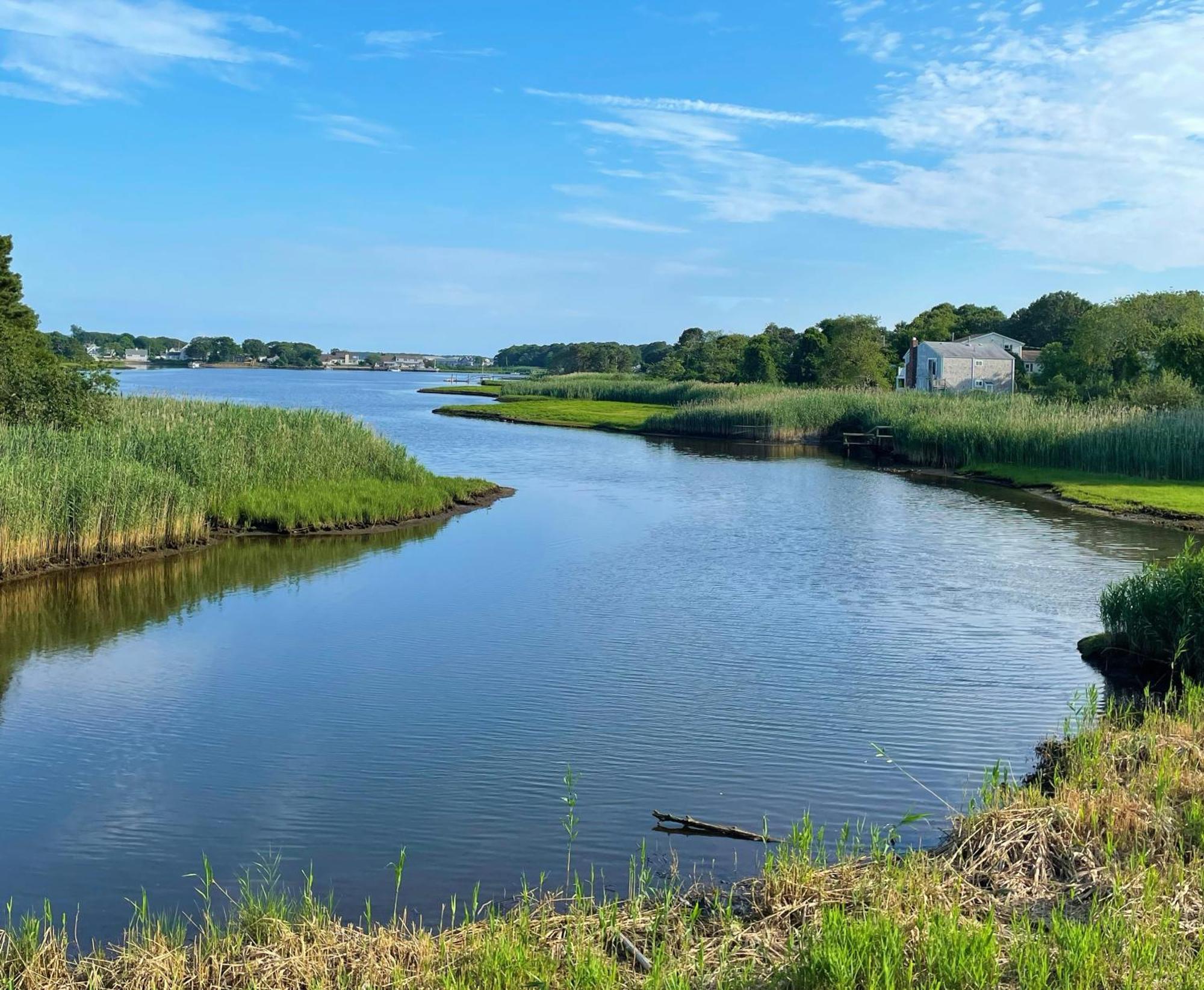 Cape Sands