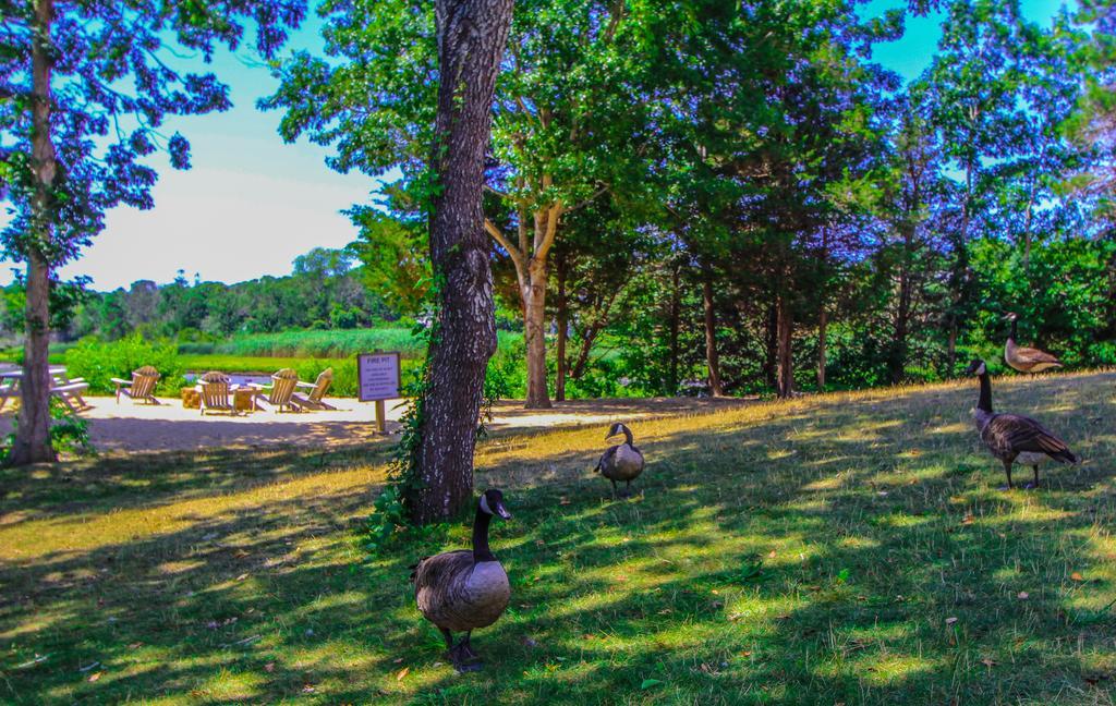 The Cove At Yarmouth Resort West Yarmouth